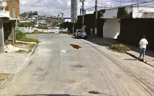 Curious Images Snapped by Google Street View