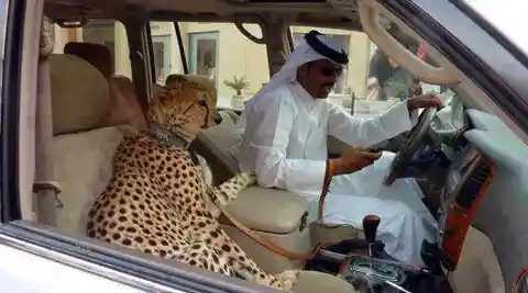 Moments You Can Only Find In Dubai